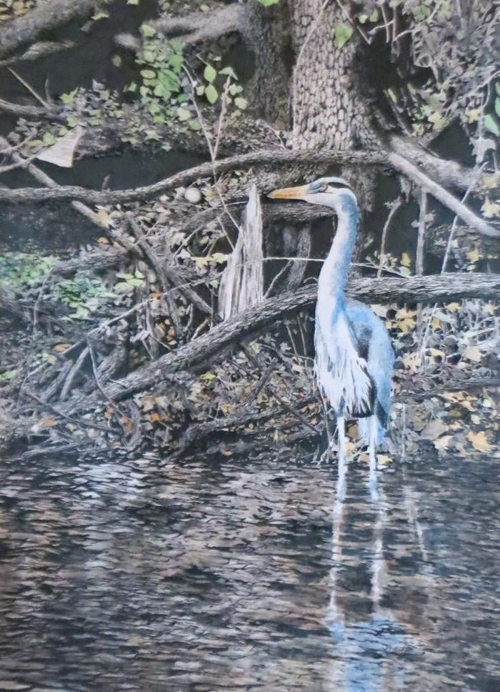 painting - Blue Heron by Ed McCarty