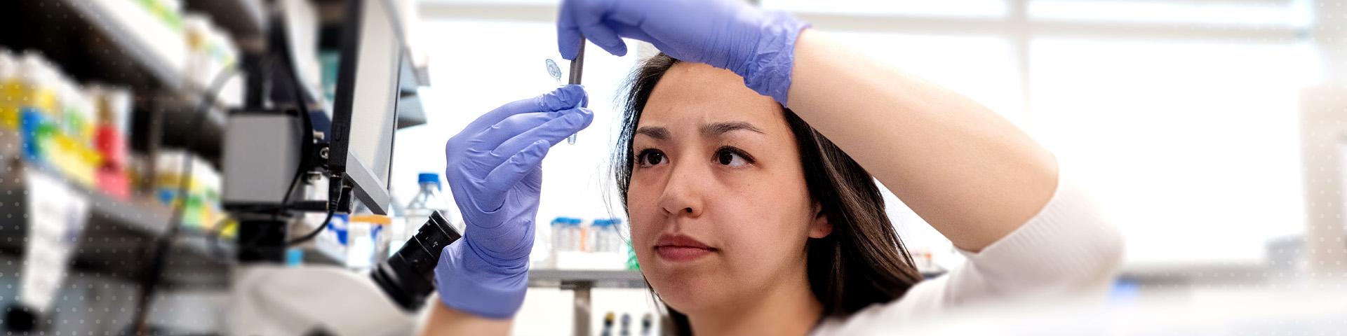 Student wearing purple gloves uses micropipette in science lab.